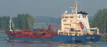 HARBOUR LEGEND